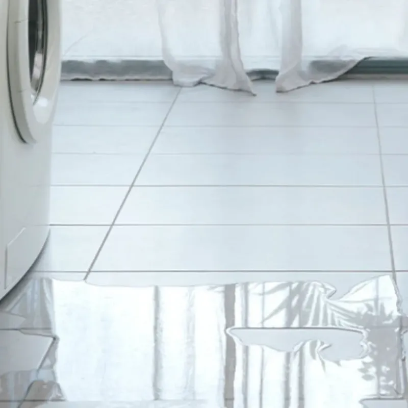 Appliance Leak Cleanup in East Sonora, CA